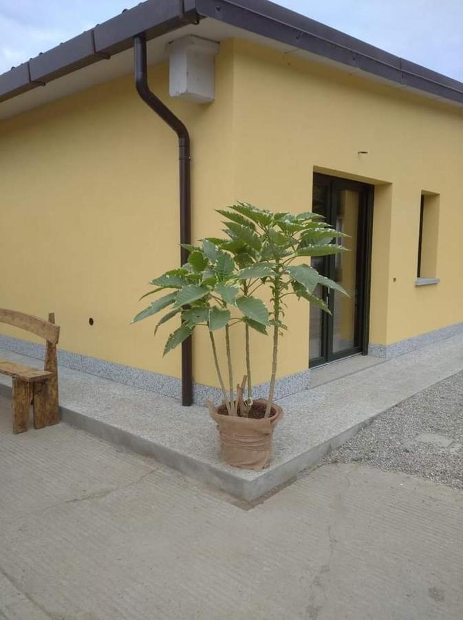 Azienda Agrituristica Scotti Somma Lombardo Dış mekan fotoğraf