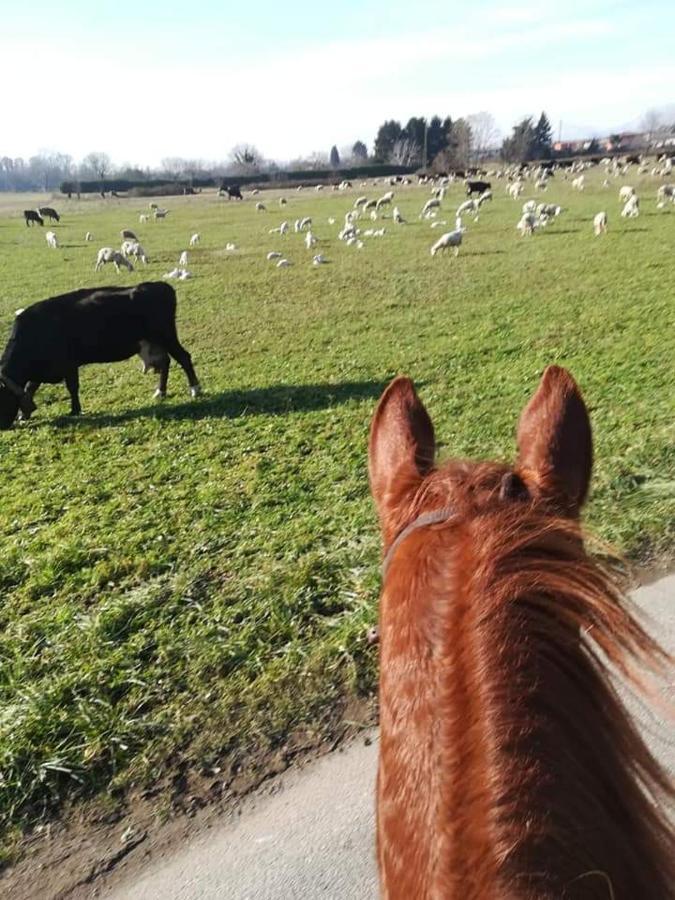 Azienda Agrituristica Scotti Somma Lombardo Dış mekan fotoğraf