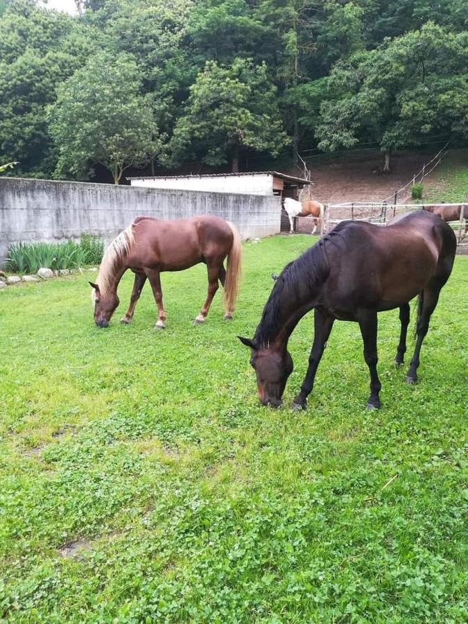 Azienda Agrituristica Scotti Somma Lombardo Dış mekan fotoğraf